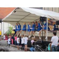 Strassen-_und_Hoffest 2014_123.jpg